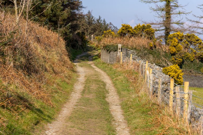 Gaisce Hillwalking trail at carlingford