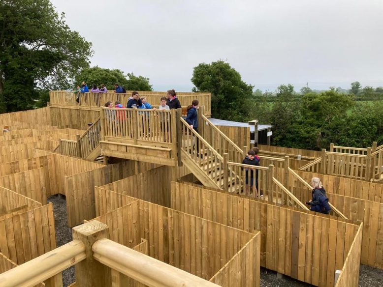 Maze at Carlingford adventure centre
